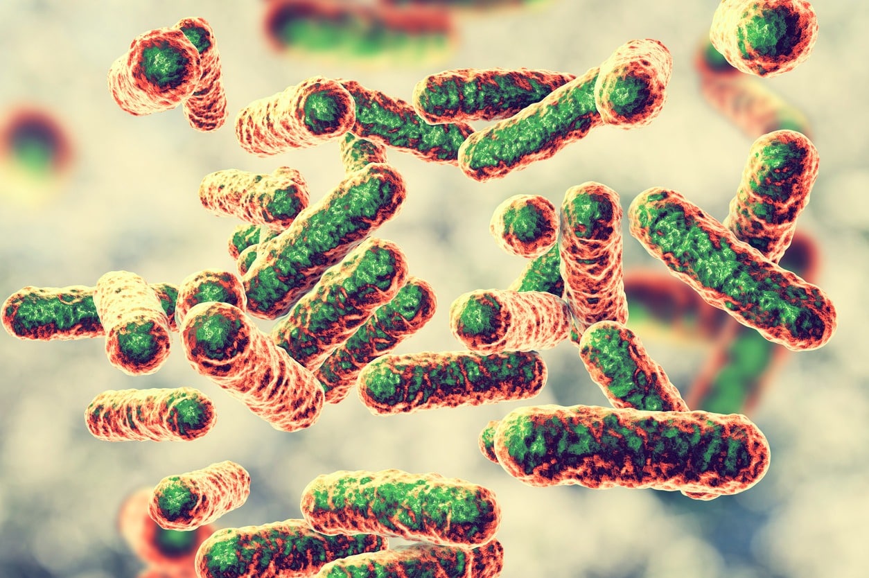 "Do bartonella infections cause agitation, panic disorder, and