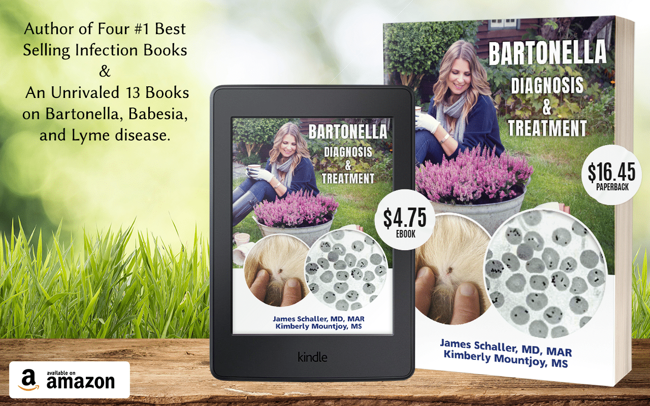 W2K The Diagnosis and Treatment of Bartonella for Healthcare Workers and Patients 3D Book Mockup 3 Rev3 (1)