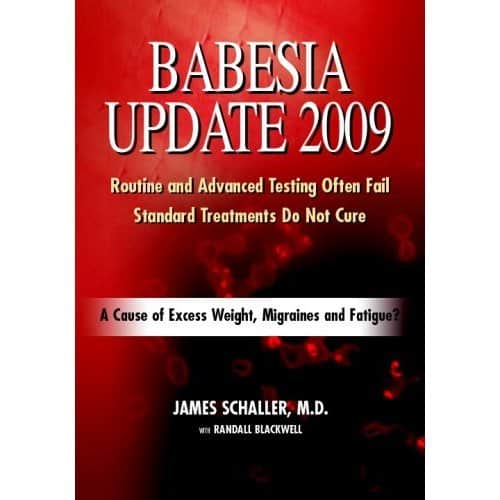 bab 2009