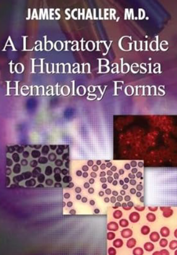 babesia6