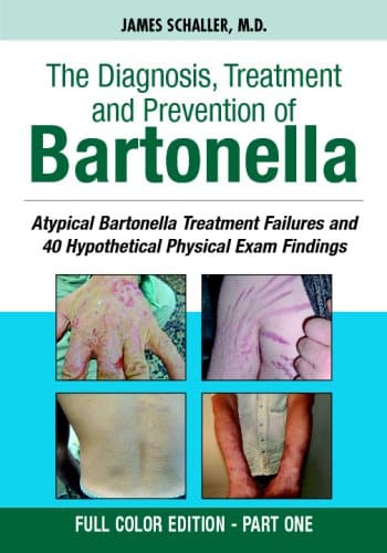 BART 2008 COVER OF BOOK