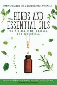 HERB AMAZON FRONT COVER (1)