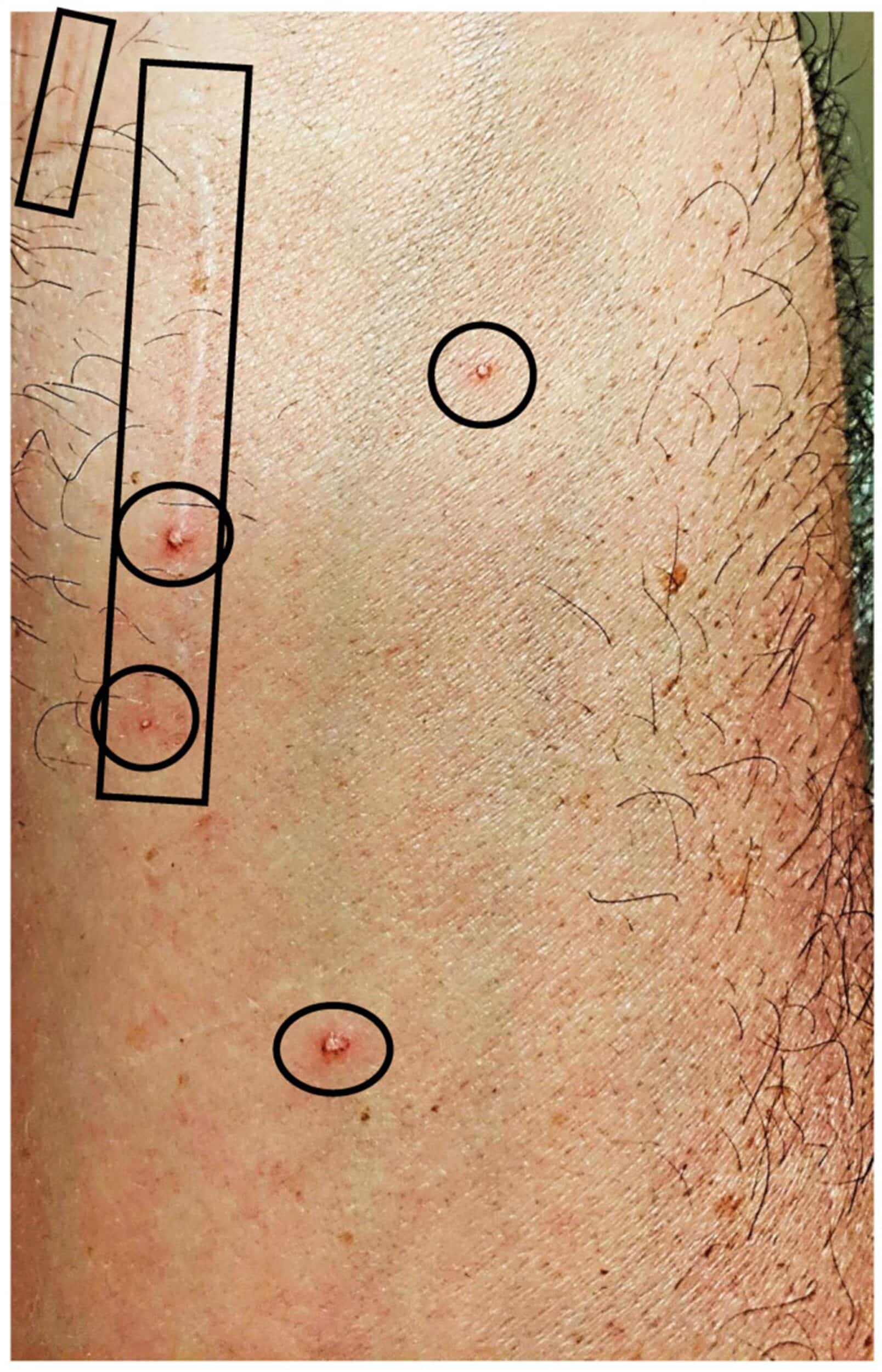 fig 9